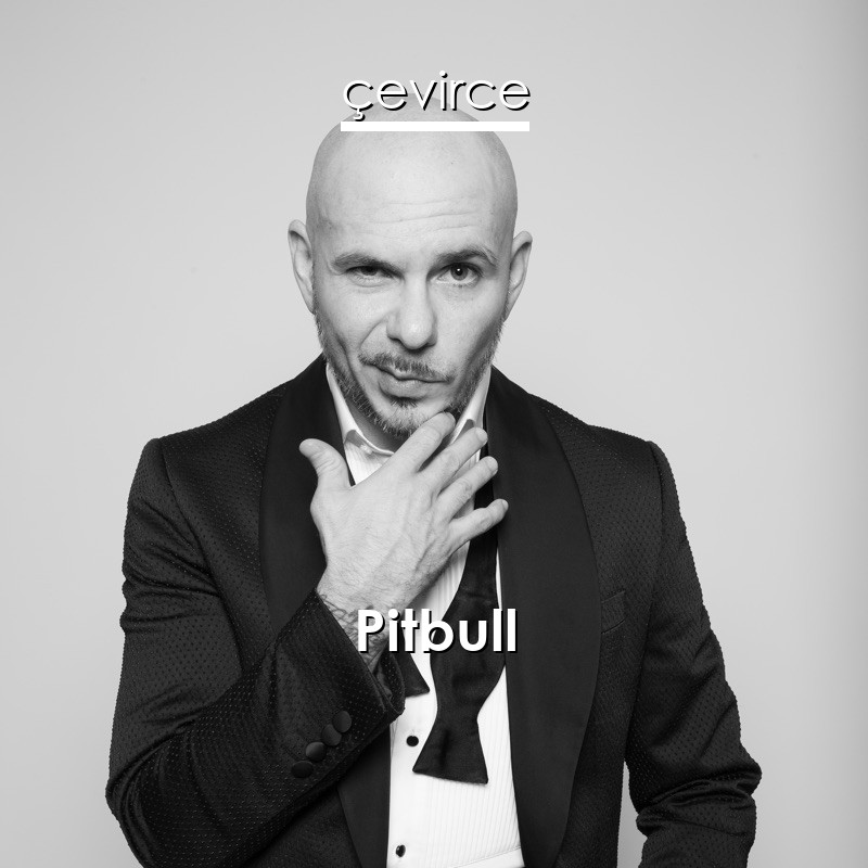 Pitbull – Hotel Room Service Lyrics - Translate Institution | Çevirce