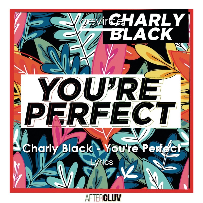 Body a perfect lyrics perfect with smile Charly Black