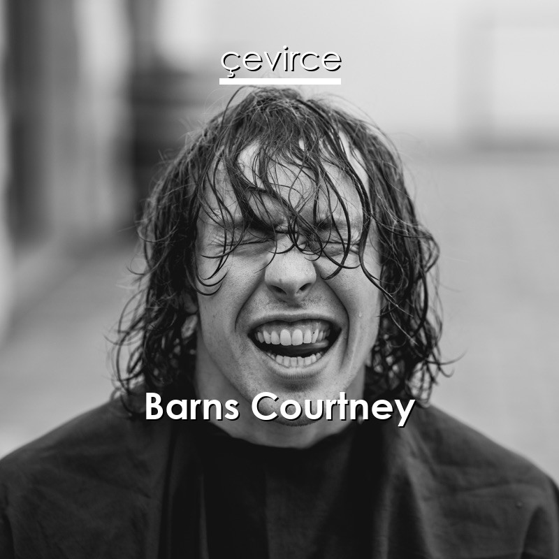 Barns Courtney – Champion Lyrics - Translate | Çevirce