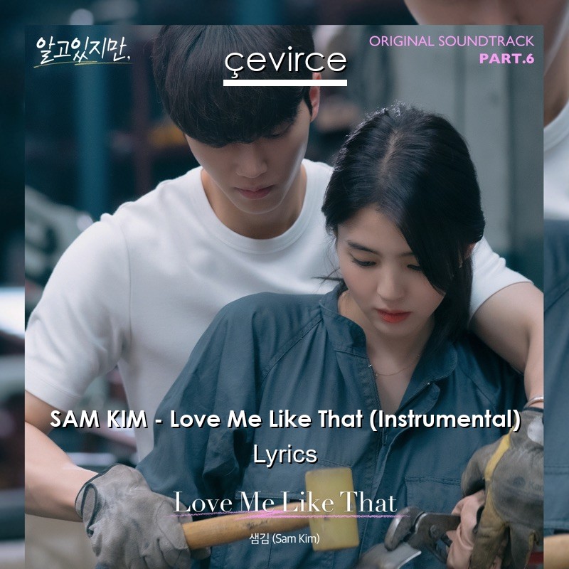 Chemistry actress Abandoned SAM KIM – Love Me Like That (Instrumental) Lyrics - Translate Institution |  Çevirce