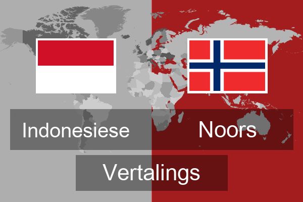  Noors Vertalings