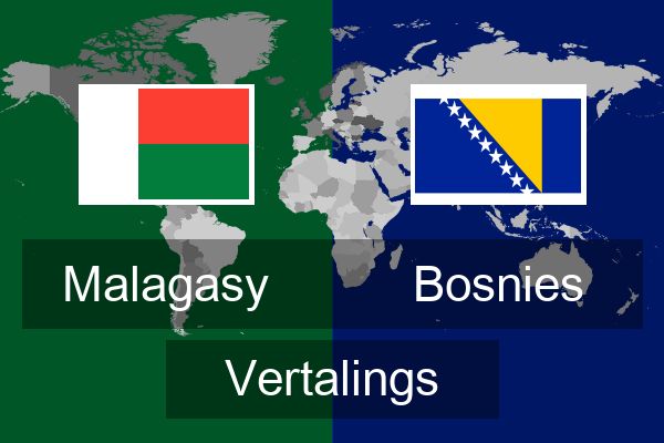  Bosnies Vertalings