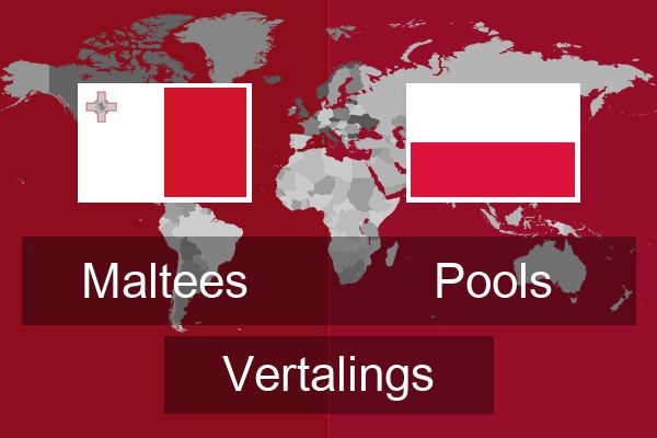  Pools Vertalings