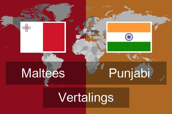  Punjabi Vertalings