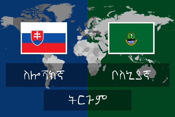  ቦስኒያኛ ትርጉም