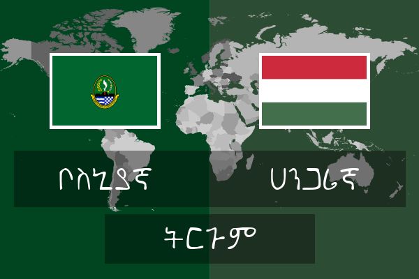 ሀንጋሪኛ ትርጉም