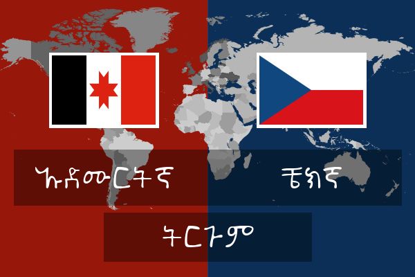 ቼክኛ ትርጉም