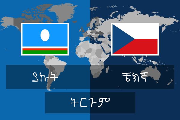  ቼክኛ ትርጉም