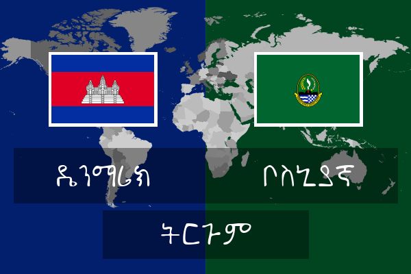  ቦስኒያኛ ትርጉም