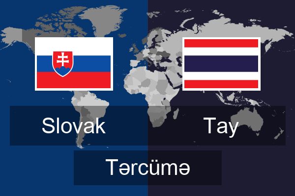  Tay Tərcümə