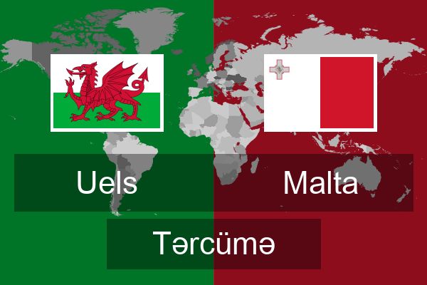  Malta Tərcümə