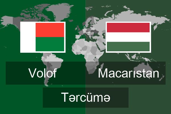  Macarıstan Tərcümə