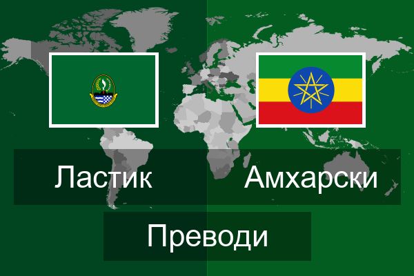  Амхарски Преводи
