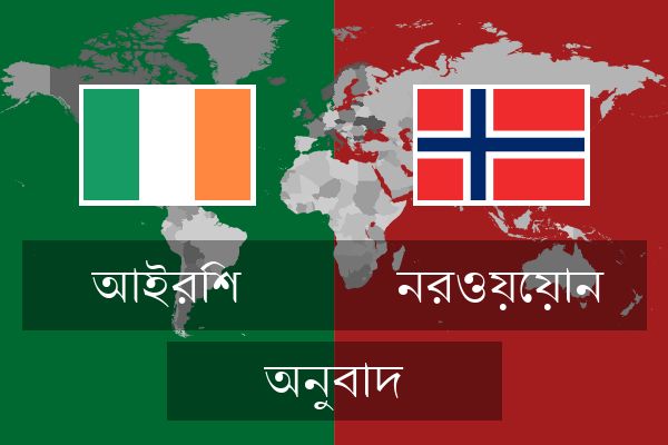  নরওয়েয়ান অনুবাদ