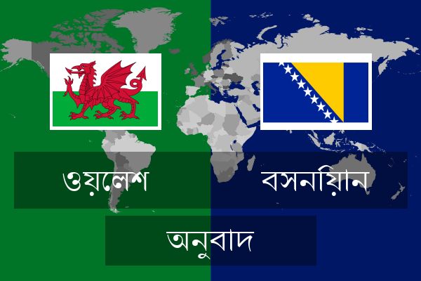 বসনিয়ান অনুবাদ