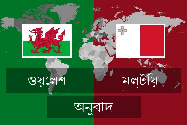  মল্টিয় অনুবাদ