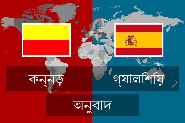  গ্যালিশিয় অনুবাদ