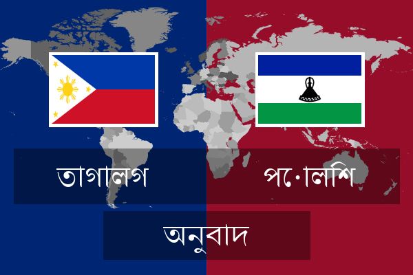  পোলিশ অনুবাদ