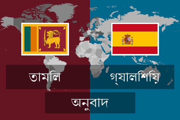  গ্যালিশিয় অনুবাদ