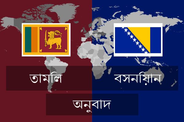  বসনিয়ান অনুবাদ
