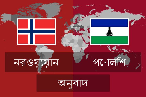  পোলিশ অনুবাদ