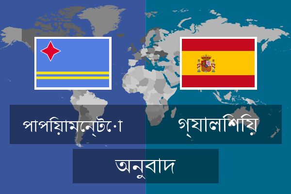  গ্যালিশিয় অনুবাদ