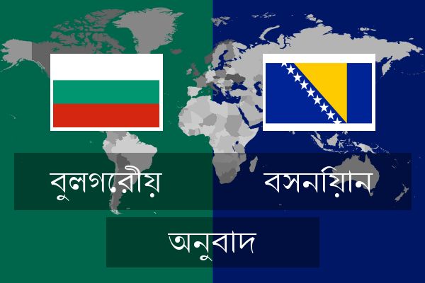  বসনিয়ান অনুবাদ