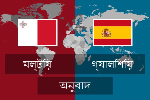  গ্যালিশিয় অনুবাদ