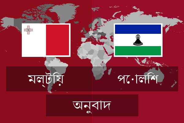  পোলিশ অনুবাদ