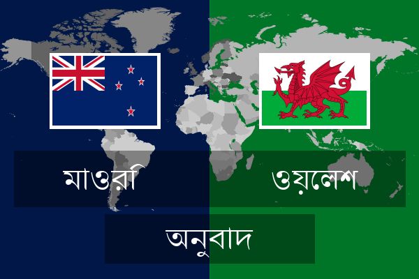  ওয়েলশ অনুবাদ