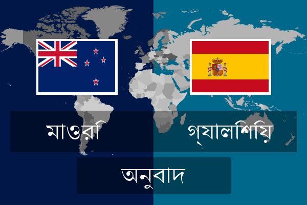  গ্যালিশিয় অনুবাদ