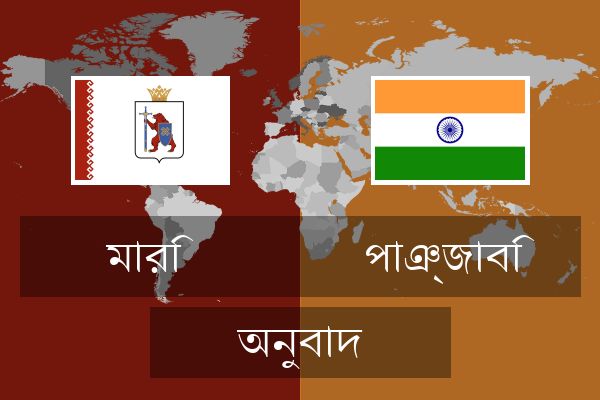  পাঞ্জাবি অনুবাদ