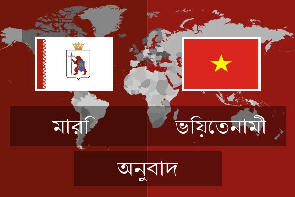  ভিয়েতনামী অনুবাদ