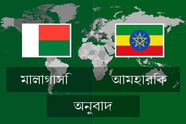  আমহারিক অনুবাদ
