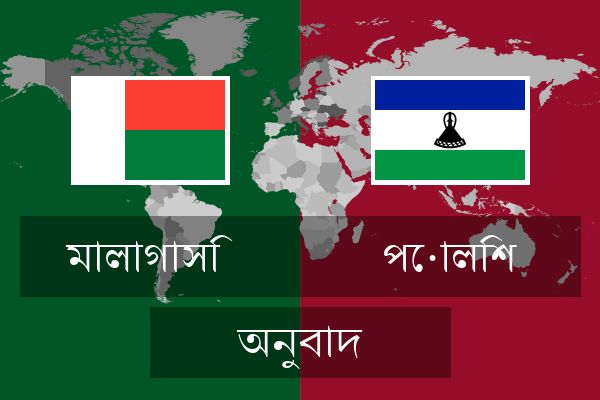  পোলিশ অনুবাদ