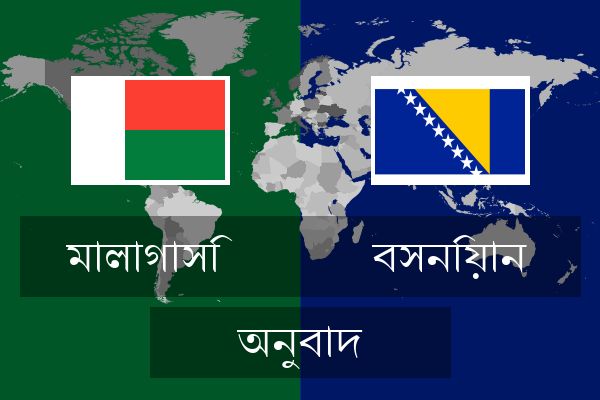  বসনিয়ান অনুবাদ
