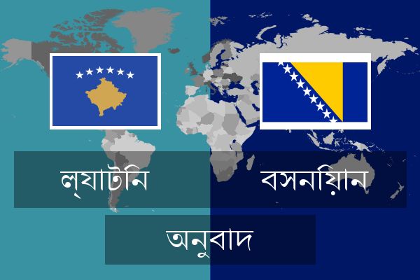  বসনিয়ান অনুবাদ