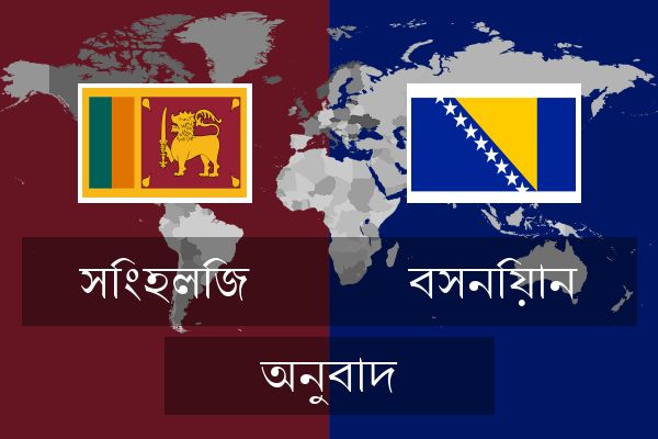  বসনিয়ান অনুবাদ