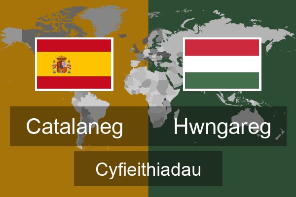  Hwngareg Cyfieithiadau