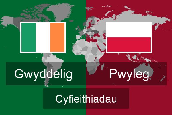  Pwyleg Cyfieithiadau