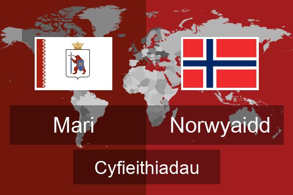  Norwyaidd Cyfieithiadau