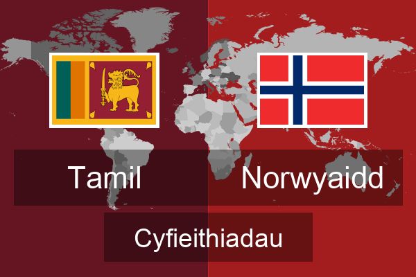  Norwyaidd Cyfieithiadau