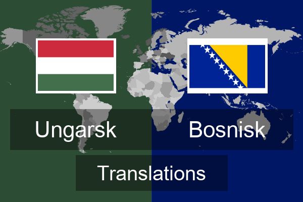  Bosnisk Translations