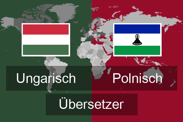 Polnisch Übersetzer