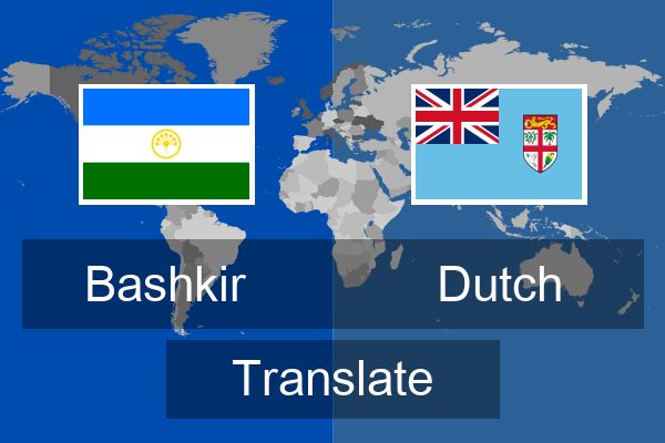  Dutch Translate