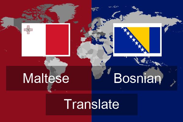  Bosnian Translate