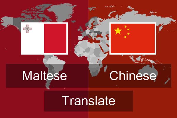  Chinese Translate