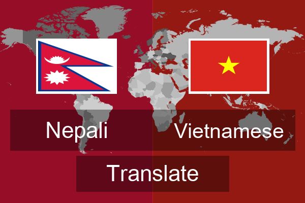  Vietnamese Translate