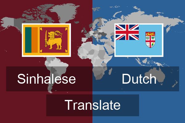  Dutch Translate