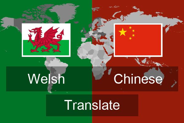  Chinese Translate